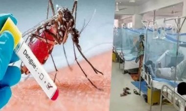 সিলেটে ডেঙ্গুতে প্রাণ গেল ৩ জনের, আক্রান্ত ৩৪৮